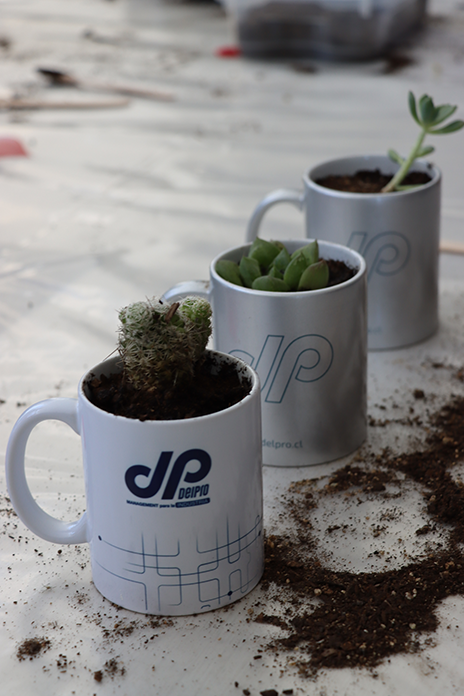 DELPRO Promotes Sustainability and Wellbeing Initiative at Head Office