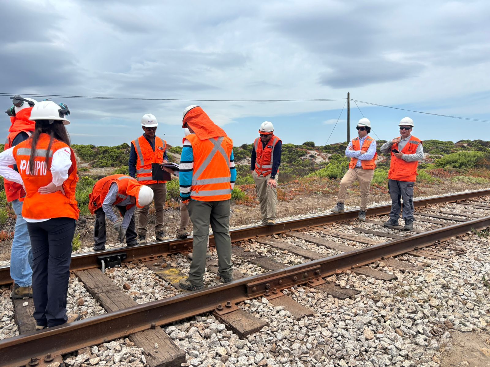 DELPRO avanza junto a Efe en proyecto estratégico para la 5ta región